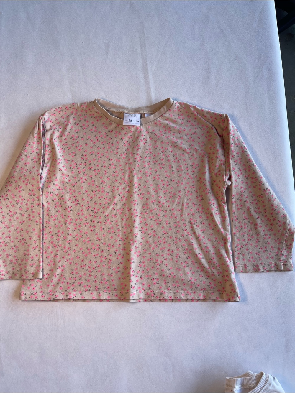 Zara Beige Long-Sleeve Tee with Pink Floral Allover
